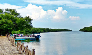 Coringa Wildlife Sanctuary